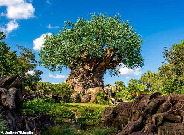 Disney World Faces Backlash Over Replacement of Cultural Restaurant with American-Style Eatery