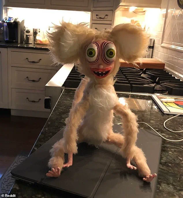Man's Disturbing Attic Discovery Sparks Online Horror and Speculation