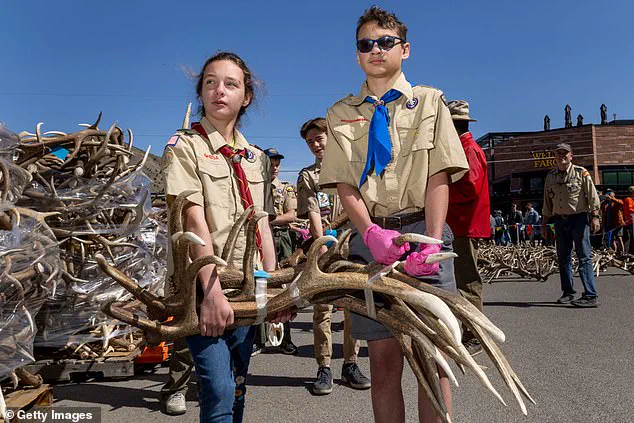 Boy Scouts of America to Rebrand as Scouting America Amid Membership Decline, Effective February 8, 2025