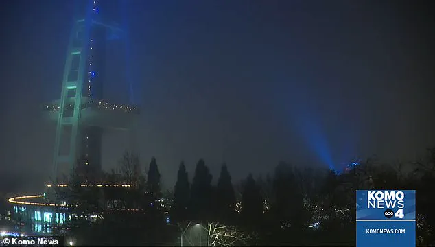 Exclusive Footage Reveals Chaos in Seattle's New Year Brawl