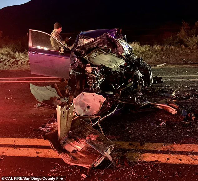 Tragedy on Thanksgiving: A Collision That Sparks Debate Over Traffic Regulations and Immigrant Driver Accountability