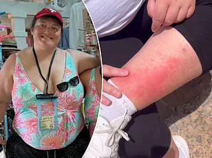 Father Injured in Disneyland Line-Cutting Altercation Sparks Outcry Over Crowd Control and Safety