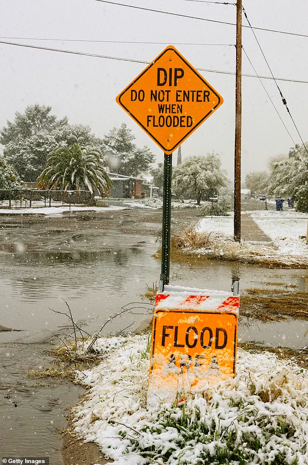 Arizona's Seven Wacky Driving Laws Every Driver Needs to Know to Avoid Tickets