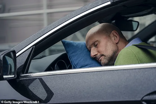 Arizona's Seven Wacky Driving Laws Every Driver Needs to Know to Avoid Tickets