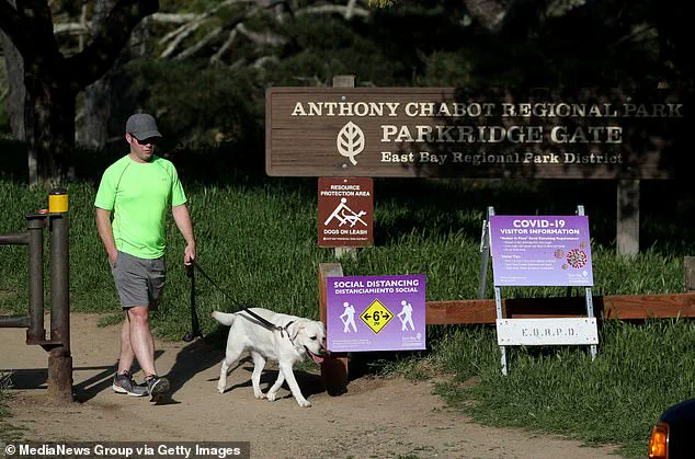 Deadly Mushroom Poisoning Outbreak Claims Three Lives in California, Prompting Urgent Health Advisories