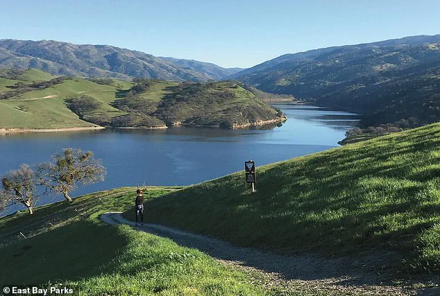 Deadly Mushroom Poisoning Outbreak Claims Three Lives in California, Prompting Urgent Health Advisories