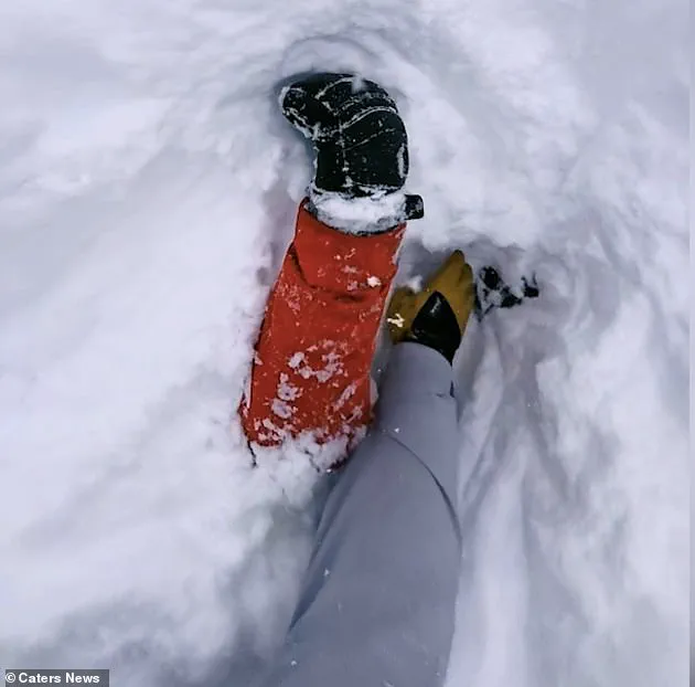 Heroic Rescue in Swiss Alps Sparks Debate on Emergency Response Regulations