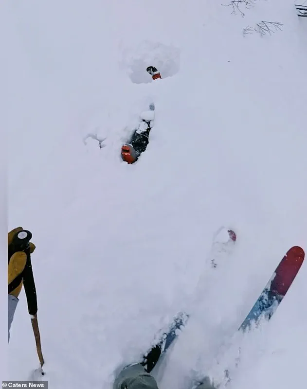 Heroic Rescue in Swiss Alps Sparks Debate on Emergency Response Regulations