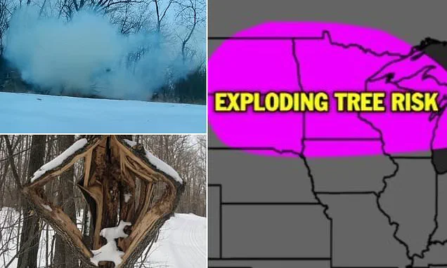 Behind Closed Doors: The Exclusive Forecasts Shaping the Response to the Looming Winter Catastrophe