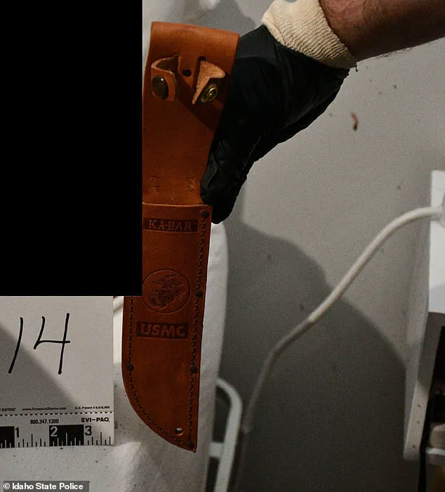 The Unraveling of a Perfect Crime: Bryan Kohberger's Forensic Missteps in Moscow, Idaho