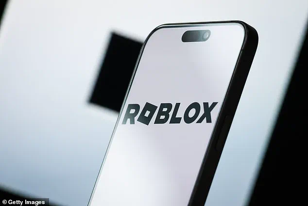 Missing Long Island Teen's Roblox Meeting Raises Community Safety Concerns