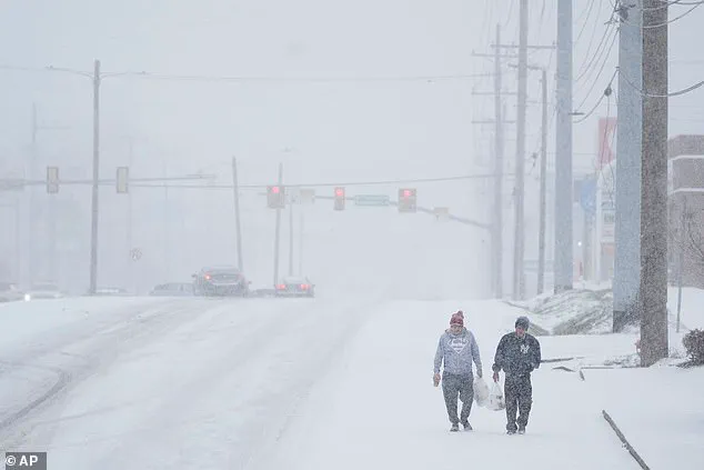 Nashville Family Battles Freezing Temperatures and Power Outage During Winter Storm Fern