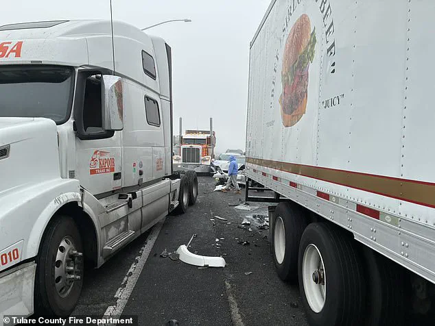 Central Valley Crash Investigation Reveals Complex Interplay of Environmental and Human Factors