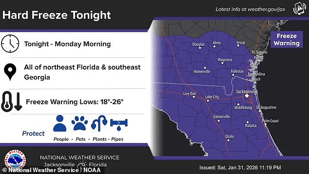 Exclusive: Florida's Unprecedented Cold Snap as Winter Storm Gianna Unleashes Record-Breaking Snow and Freezing Conditions
