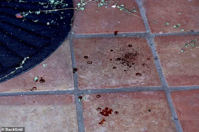 Eerie Footage from Home of Missing Nancy Guthrie Shows Blood and Missing Camera
