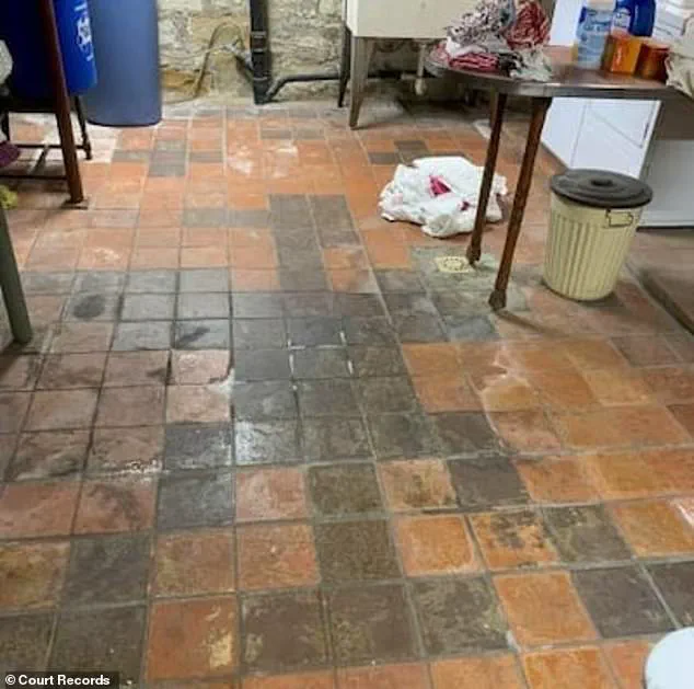 Pennsylvania Couple Files Lawsuit Over Hidden Nazi Symbols in Their Home, Alleging Emotional Distress and Loss of Value