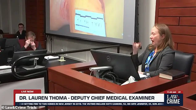 Family Tragedy Unfolds in Courtroom: Four Killed, Injuries Detailed in Brutal Case