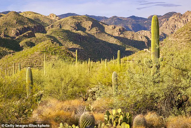 Challenging Terrain Complicates Search for Nancy Guthrie in Tucson's Catalina Foothills