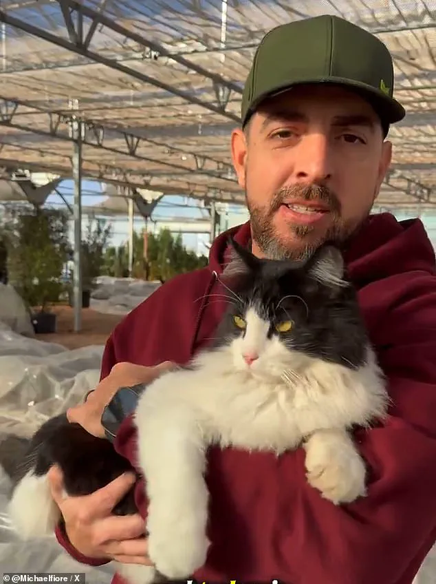 Tuxedo Cat Sylvester Steals the Show at Smith's Gardentown with Viral Rat-Catching Feat