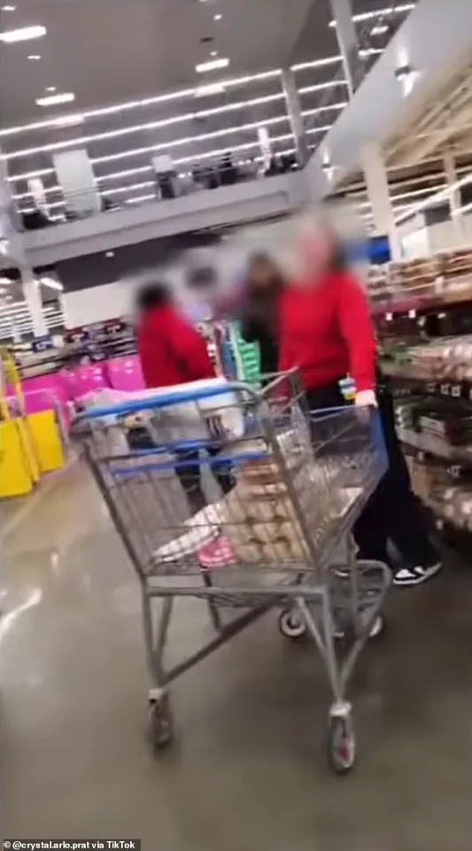 Walmart Shopper Confronted Over Service Dog After ADA Dispute in Albany