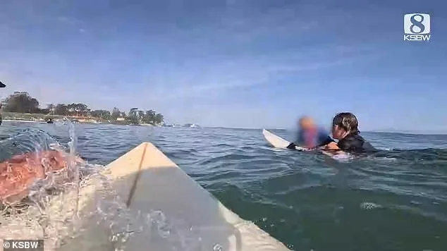 Miraculous Rescue: Family of Six Saved by Surfers After Speedboat Capsizes Near Santa Cruz