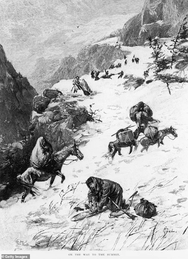 Deadly Avalanche on Castle Peak Claims Nine Lives, Injures Six