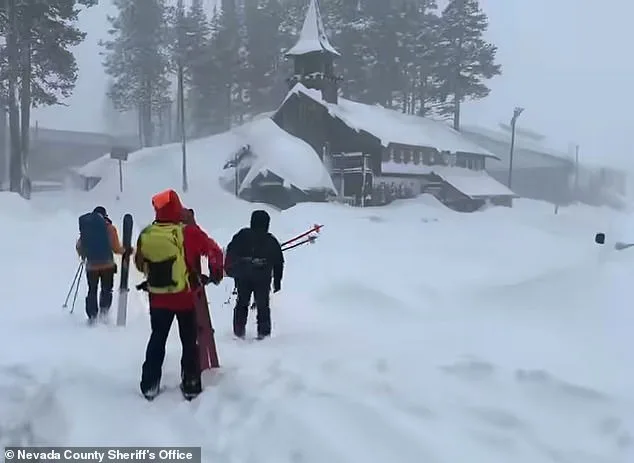 Tragedy at Lake Tahoe: 21-Year-Old Skier's Body Found on Technical Sugar Pine Glade Trail