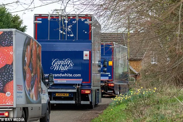 Andrew Mountbatten-Windsor's High-Profile Move to Sandringham Estate Revealed Through Art Collection and Surprising Tesco Delivery
