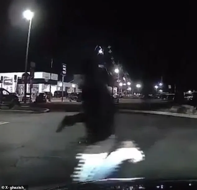 Deadly Chick-fil-A Shooting in Union Township: Surveillance Footage Reveals Suspect Fleeing as One Killed, Six Injured