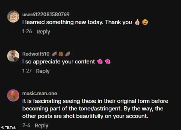 Viral Botanist: New York Botanical Garden Curator Becomes Internet Sensation, Comments Disabled