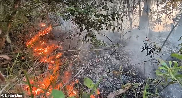 Amtrak Train Stranded for 19 Hours After Florida Brush Fire