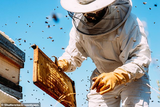 Honey's Resurgence Raises Questions About Its Health Claims and Value.