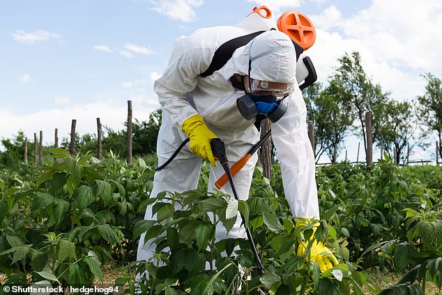 Vermont becomes first state to ban paraquat pesticide statewide.